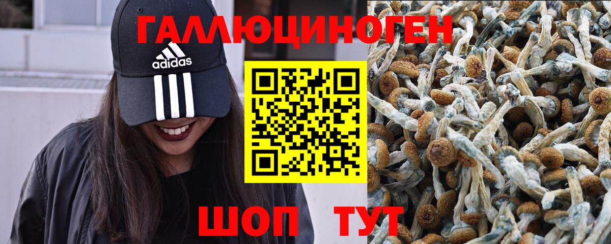 Псилоцибиновые грибы Magic Shrooms  Псилоцибиновые грибы Cubensis  Отрадный  Вход с VPN 